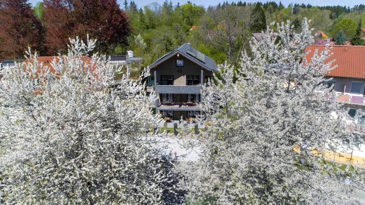 Invita Natur-Chalets Bad Dürrheim Zewnętrze zdjęcie